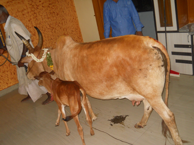 Sampoorna Karthika Maha Purananamu 7thd Day Parayanam